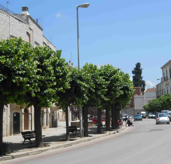 Terlizzi verso una mobilità più sostenibile. Ad agosto e settembre la ZTL si estende a Corso Dante